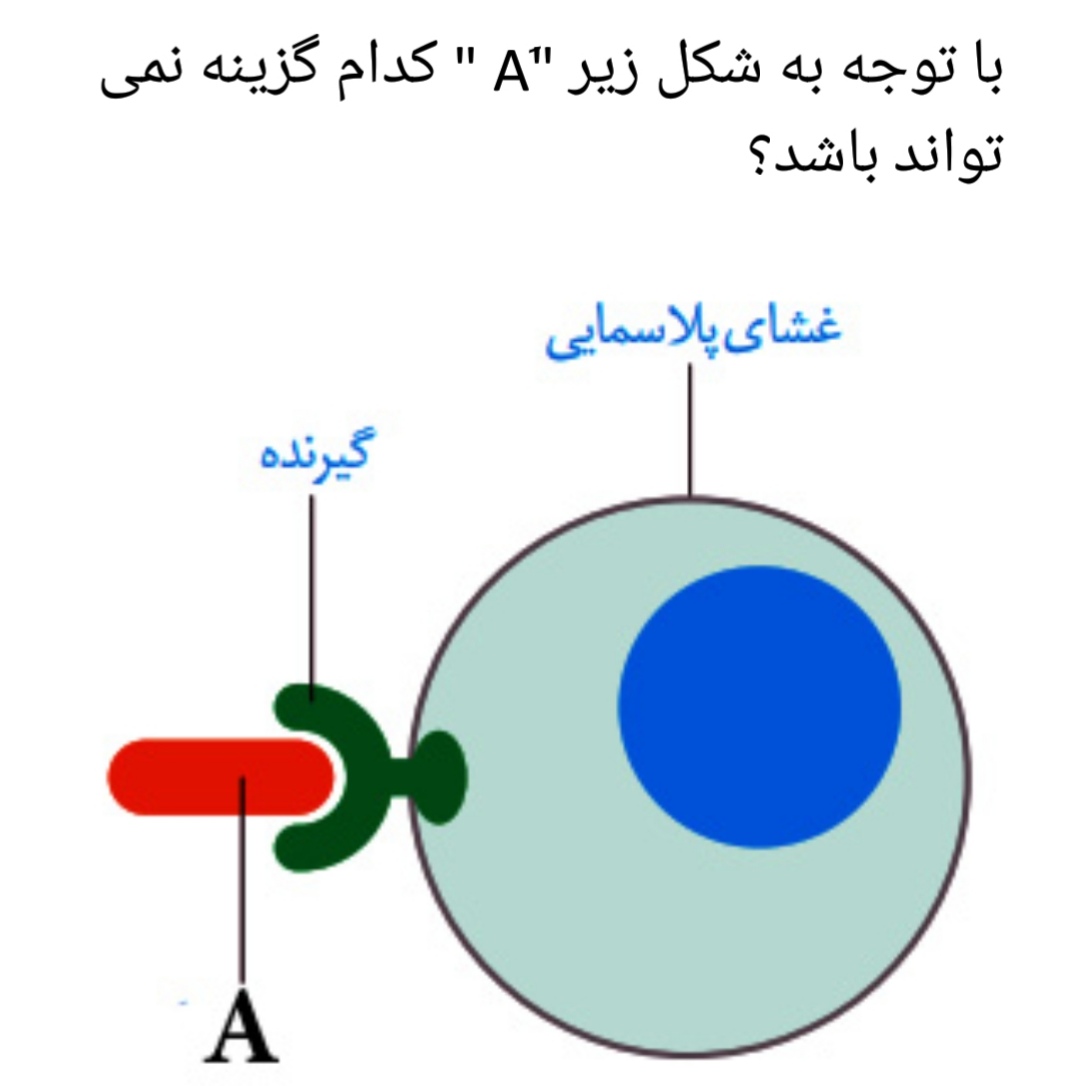 دریافت سوال 9