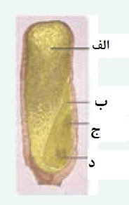 دریافت سوال 37