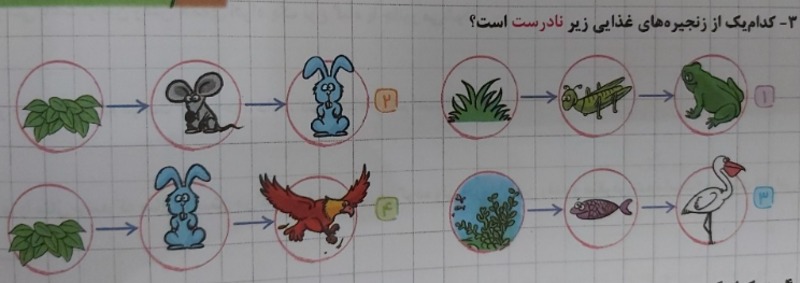 دریافت سوال 12