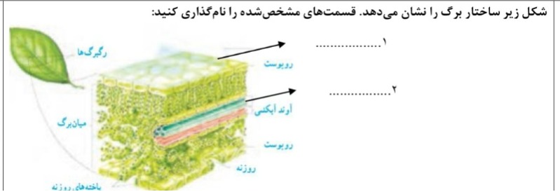 دریافت سوال 8