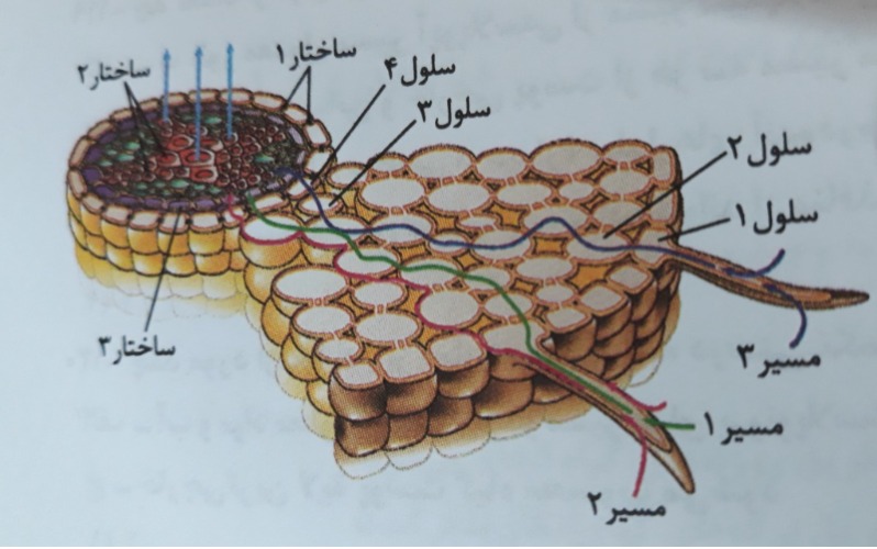 دریافت سوال 28