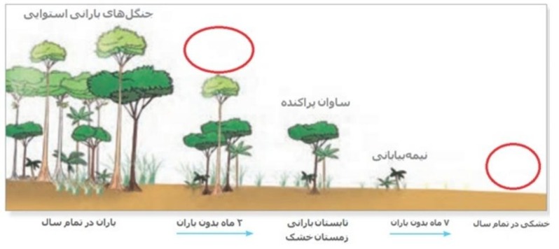 دریافت سوال 14