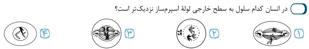 دریافت سوال 1