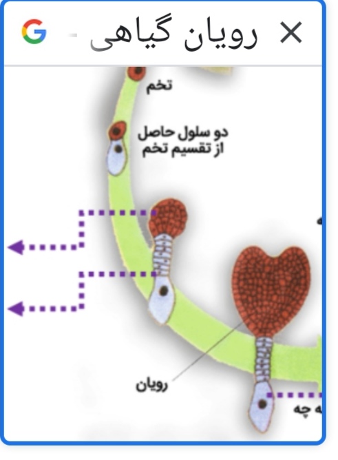 دریافت سوال 24