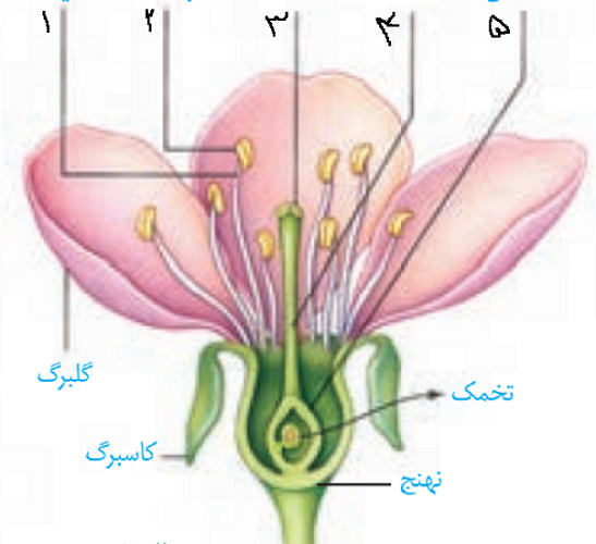 دریافت سوال 27