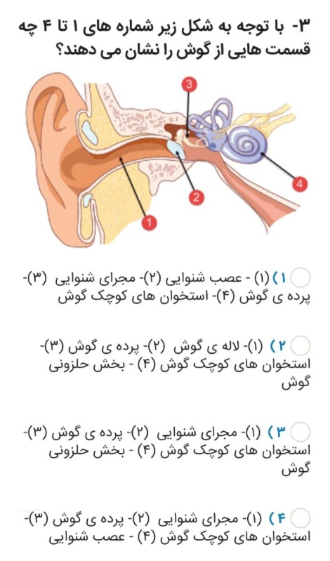 دریافت سوال 3