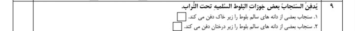 دریافت سوال 4