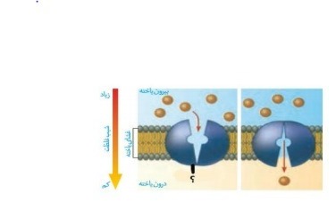 دریافت سوال 4