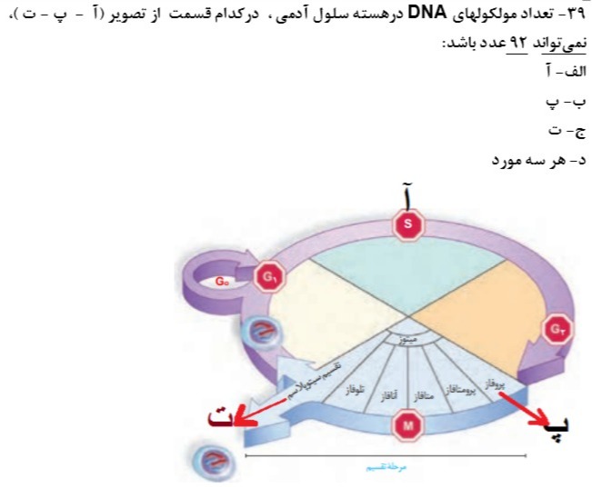 دریافت سوال 12