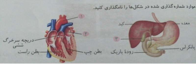 دریافت سوال 18