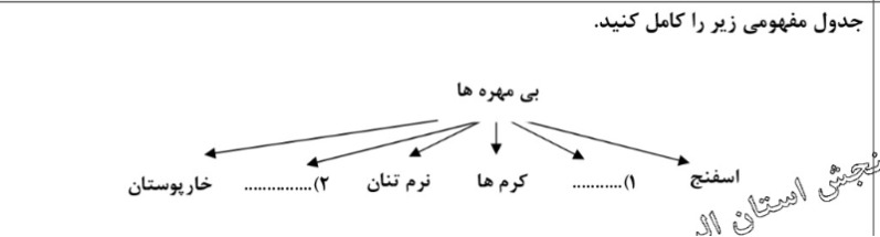 دریافت سوال 12