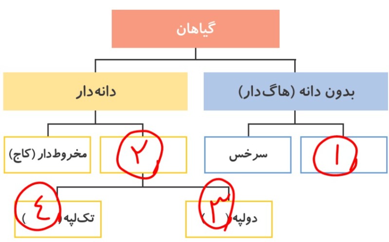 دریافت سوال 20