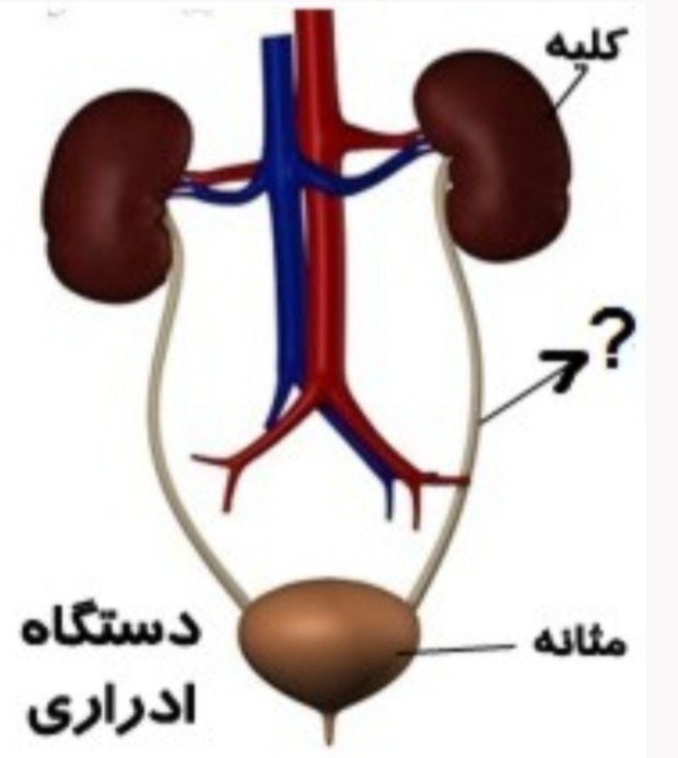 دریافت سوال 30