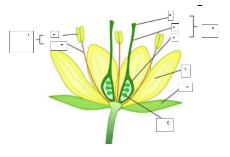 دریافت سوال 16