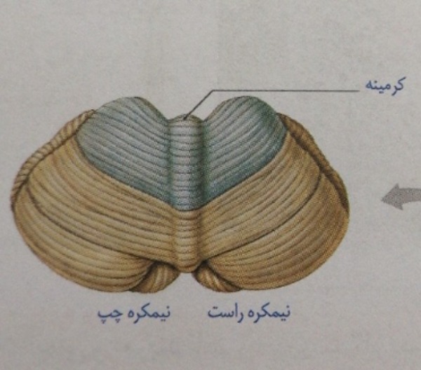 دریافت سوال 16