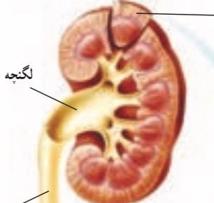 دریافت سوال 23