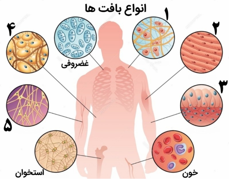 دریافت سوال 20