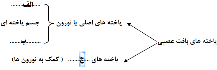 دریافت سوال 13