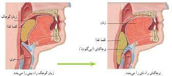 دریافت سوال 24