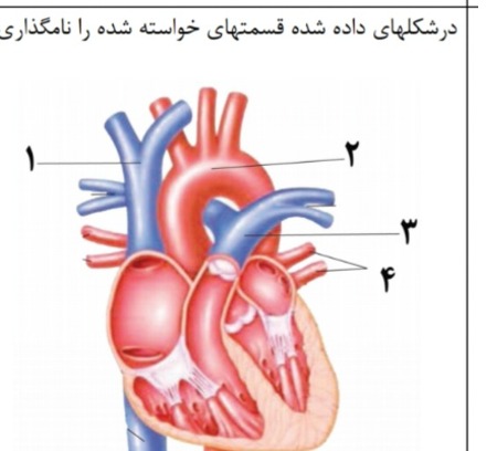 دریافت سوال 17