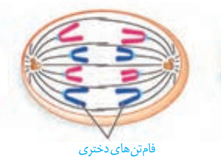 دریافت سوال 21