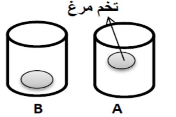 دریافت سوال 12