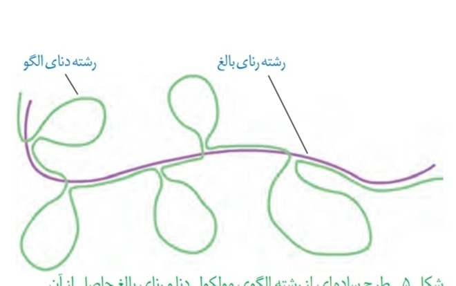 دریافت سوال 38