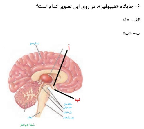 دریافت سوال 3