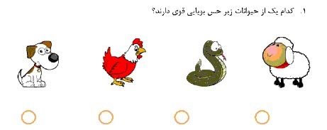 دریافت سوال 1