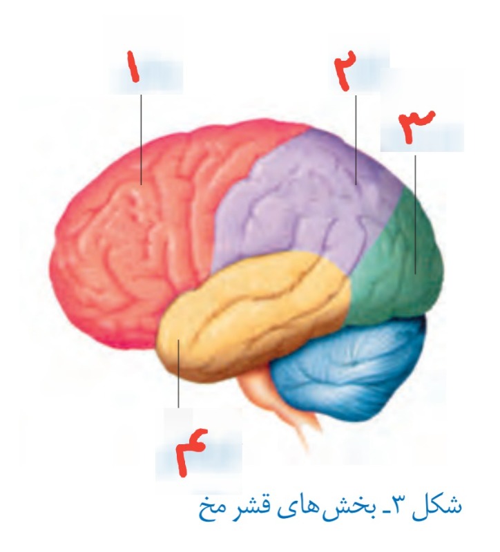 دریافت سوال 13