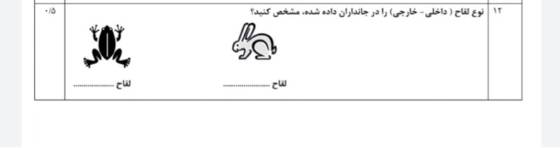 دریافت سوال 12