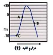 دریافت سوال 18