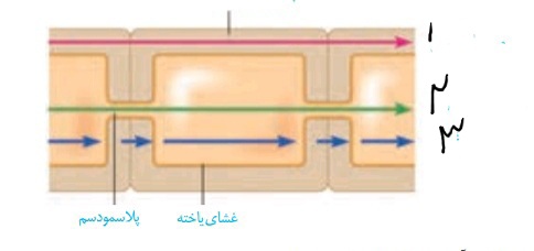 دریافت سوال 30