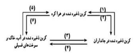 دریافت سوال 13