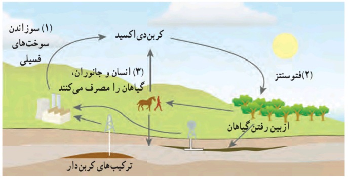 دریافت سوال 13