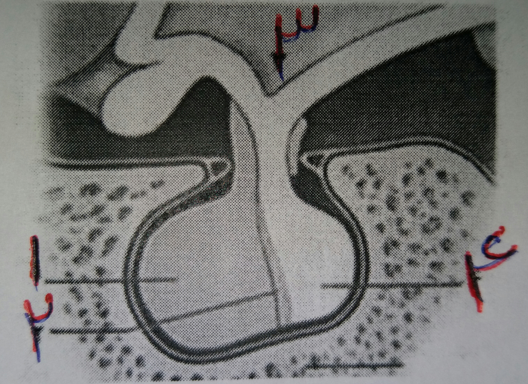 دریافت سوال 44