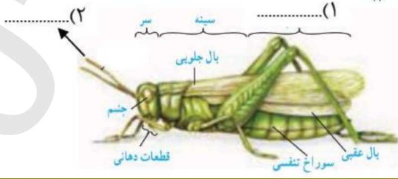 دریافت سوال 25