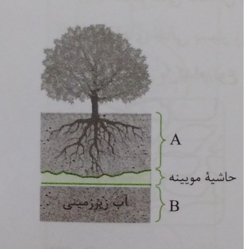 دریافت سوال 7