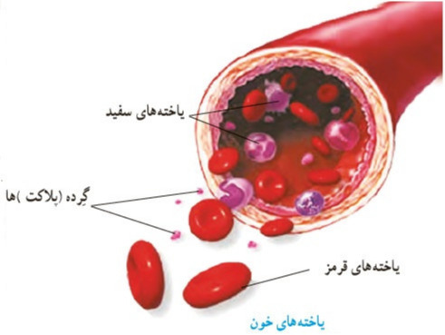 دریافت سوال 28