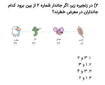 دریافت سوال 2