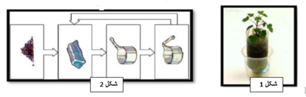 دریافت سوال 7