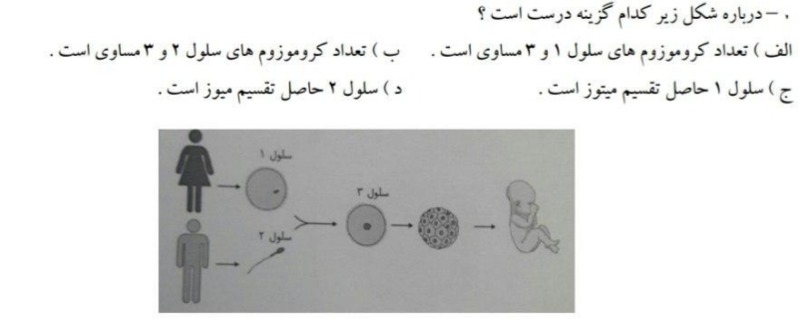 دریافت سوال 7