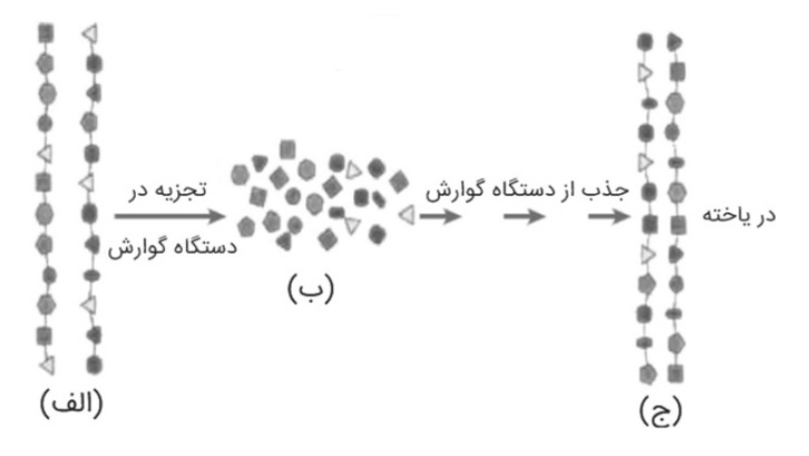 دریافت سوال 16