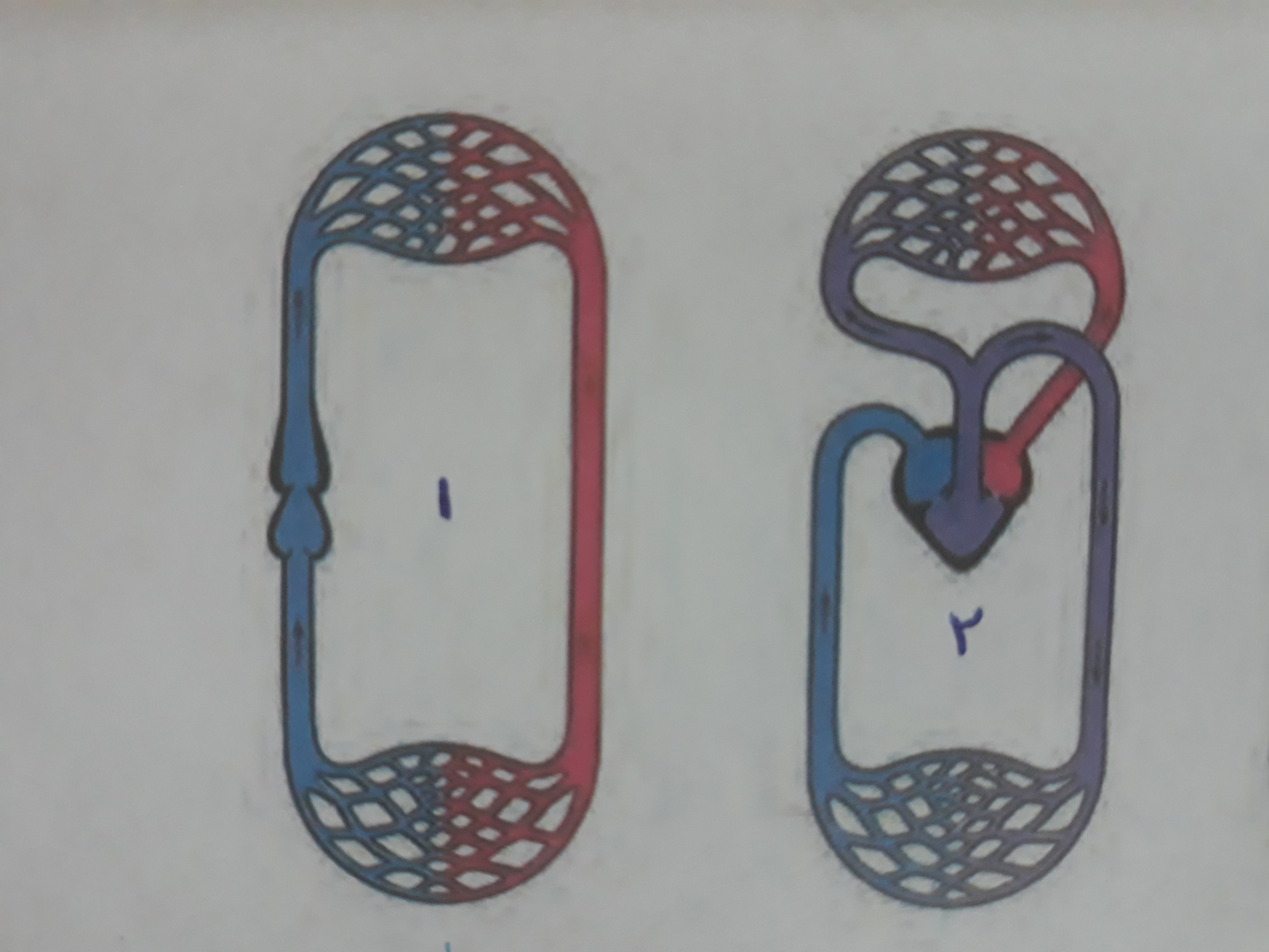 دریافت سوال 9