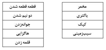 دریافت سوال 8