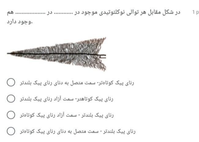 دریافت سوال 16