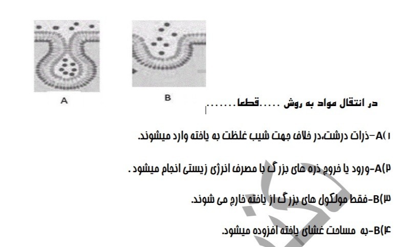 دریافت سوال 10