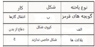 دریافت سوال 16