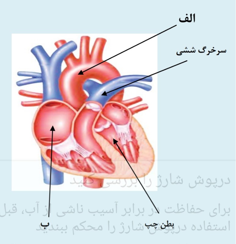 دریافت سوال 25