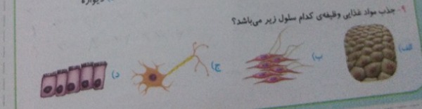 دریافت سوال 4
